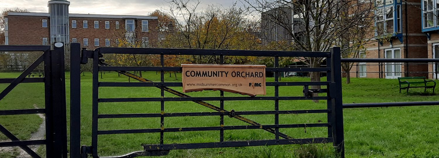 Community Orchard 1