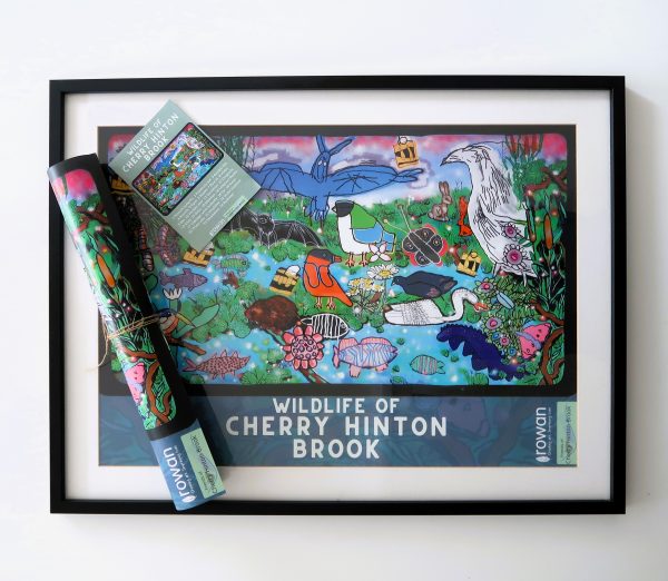 Wildlife of Cherry Hinton Brook Poster