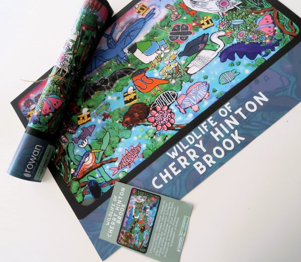Wildlife of Cherry Hinton Brook Poster - Image 5