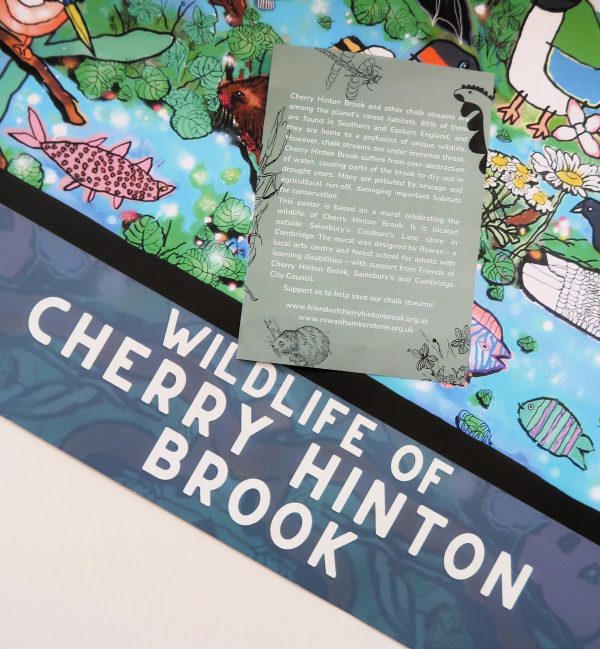 Wildlife of Cherry Hinton Brook Poster - Image 4