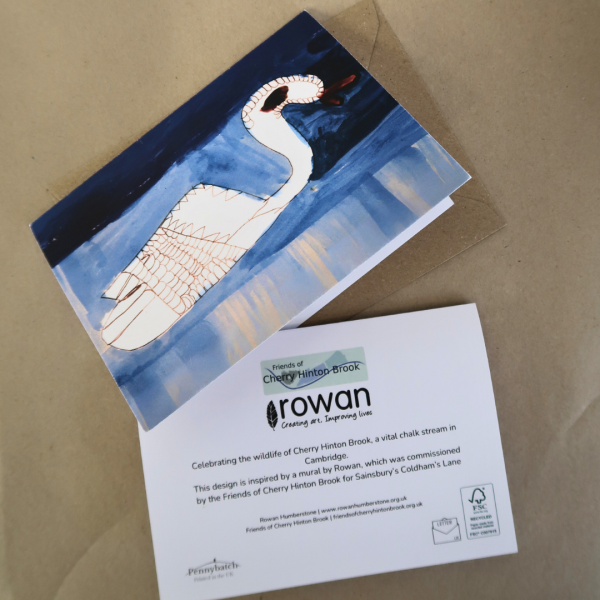 Swan Greetings Card - Wildlife of Cherry Hinton Brook - Image 3