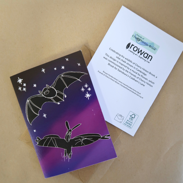 Bats Greetings Card - Wildlife of Cherry Hinton Brook - Image 3