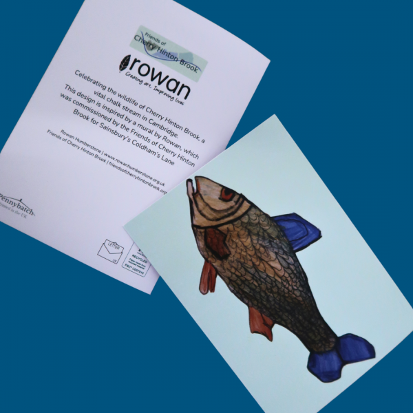 Fish Greetings Card - Wildlife of Cherry Hinton Brook - Image 3