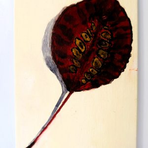 Canvas 96