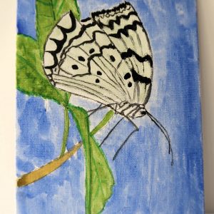 Canvas 167