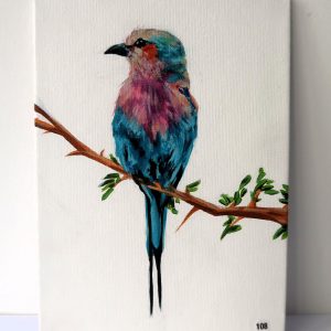 Canvas 108